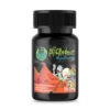 Beyond Yourself Microdose – Schwifty Labs (20)