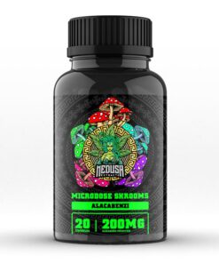 Magic Mushroom Microdose Capsules | Alacabenzi 200mg | 20 Capsules | Medusa Extracts
